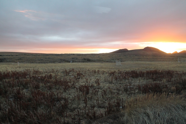 Second sunset of the bus journey, a few hours before my arrival in Punta Arenas :)